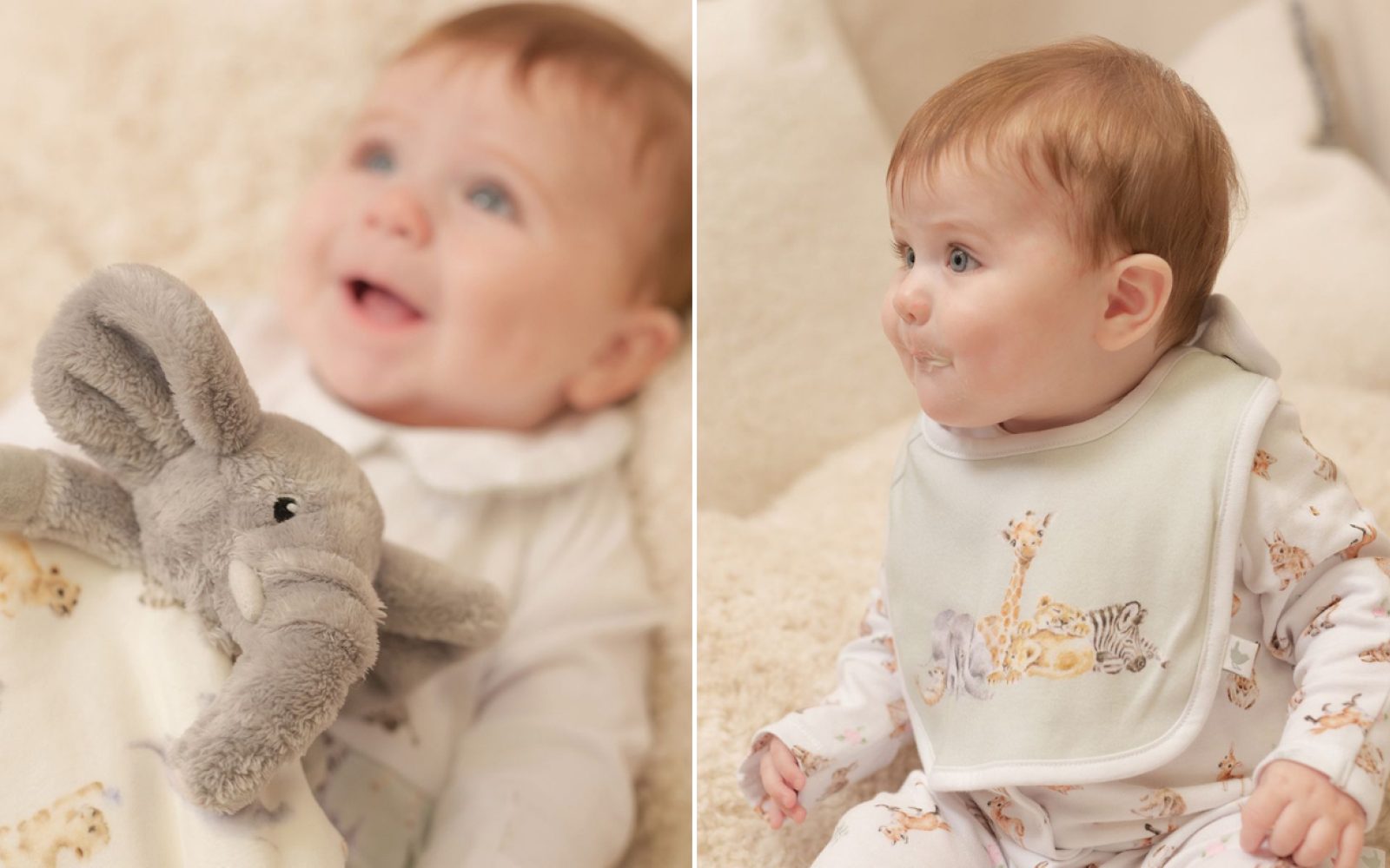 Little Wren acc duo