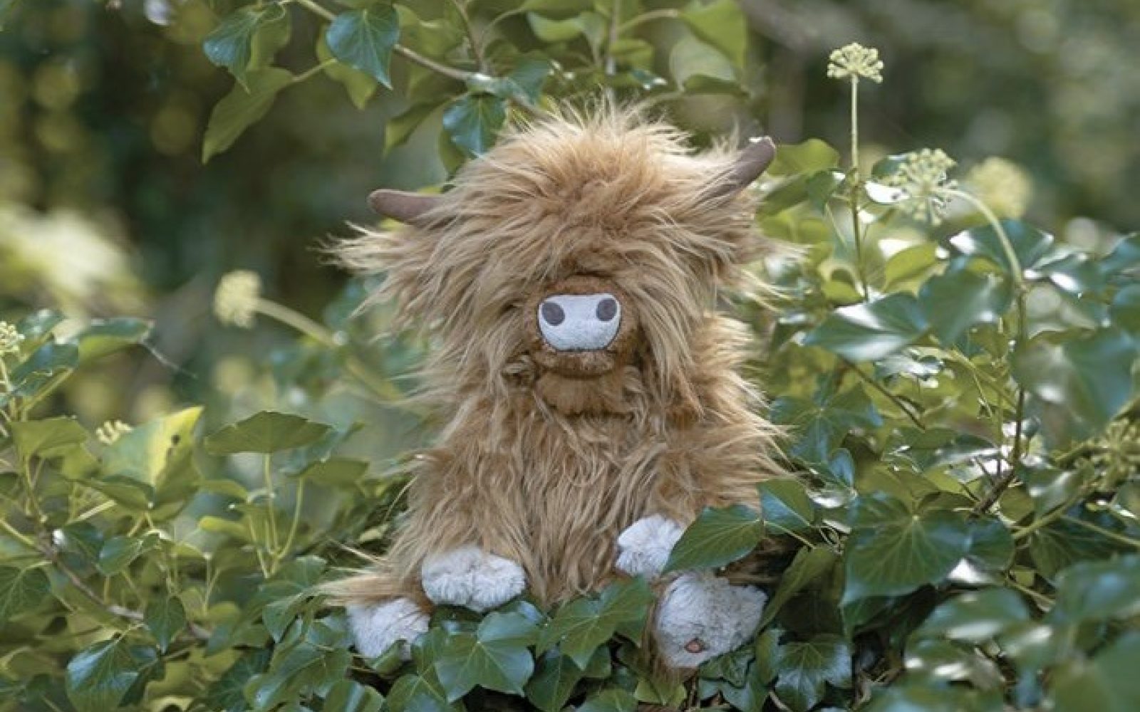 Wrendale highland cow