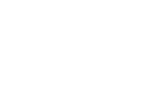 Panache